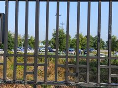 -杭州半山国家森林公园