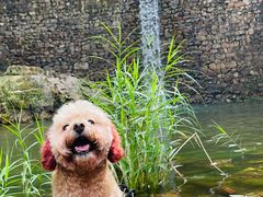 -湖洞水自然风景区