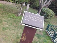 -莲湖公园
