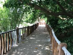 -观澜山水田园