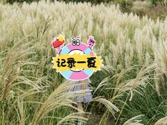 -厦门园林博览苑