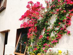 -悦哉·派对·草坪婚礼·围炉煮茶(三圣乡店)
