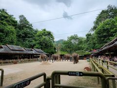 -野象谷景区
