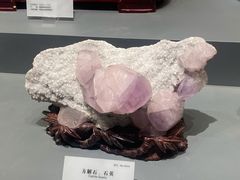 -湖南省地质博物馆