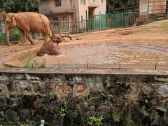 -昆明动物园
