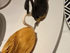 -茉里乐章(花园店)