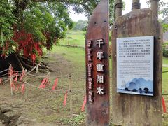 -蔡家宅
