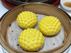 -锦绣庭苑·精细潮菜食府•商务宴请•生日家庭聚会(华侨城店)