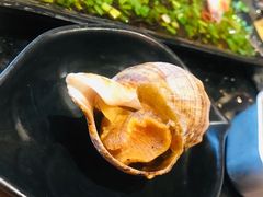 活烤大连海螺-烧货·活海鲜炭烧(湖滨商业街店)