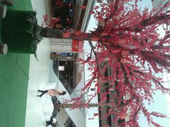 -博纳国际影城(淄博店)