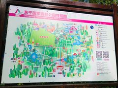 -东平国家森林公园