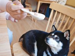 -柴の食堂·日式家庭料理·熊之肆(大学路店)