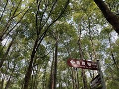 -紫霞湖公园