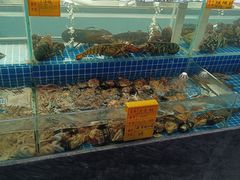 水产区-友鹏海鲜(新宜白大道店)