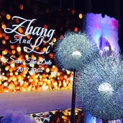 -中谷小南国花园酒店·宴会厅