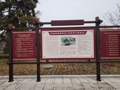 -洛阳古墓博物馆