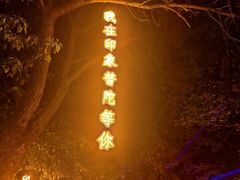 -印象普陀