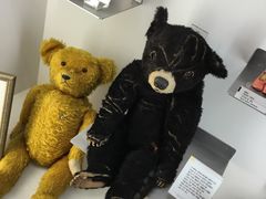 -济州岛泰迪熊博物馆