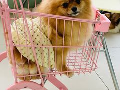 -怪兽屋·羊驼·猫咖·狗咖(俊华广场店)