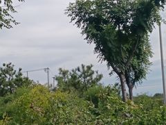 -辛庄国际文化艺术区