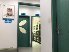 -贝利宠物医院·骨科·眼科·肿瘤转诊中心(南坪诊疗中心)