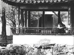 -艺圃