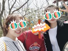 -紫金山山顶公园