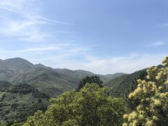 -大余丫山旅游度假区