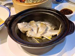 油盐焗海立鱼-百味馆·粤菜·湛江菜(后海花园店)