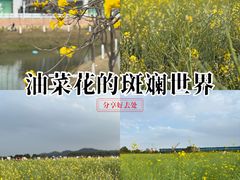 -长洲岛