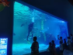 -常州海昌海洋探索馆
