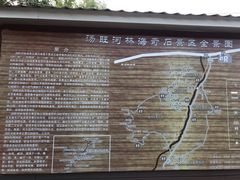 -汤旺河林海奇石景区