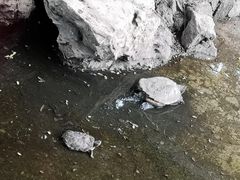 -宣武艺园