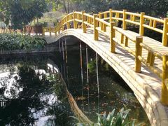 -晓港公园