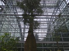 -南山植物园