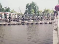 -石家庄市植物园