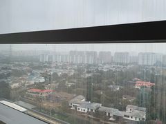 -上海浦东康桥绿地假日酒店