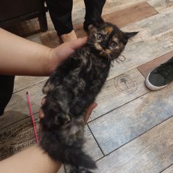 -升艾堂亚健康调理中心