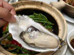 -飞尝蚝·顺德菜·鱼生(顺德总店)
