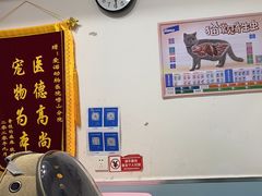 -爱诺动物医院(崂山店)