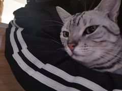 -青柠影咖·私人影院(龙泉店)