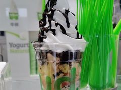 -Salud撒露欧洲冻酸奶(798艺术区店)
