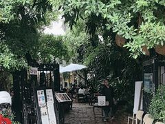 -Fern Forest Cafe