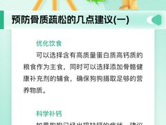 -瑞派申生动物医院·24H夜诊·国际动物医疗中心·骨外科(吴中路店)