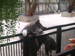 -TrueLove @ Neverland (Husky Cafe)
