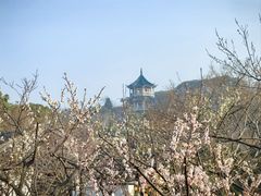 -无锡梅园公园