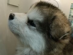 -观音桥步行街