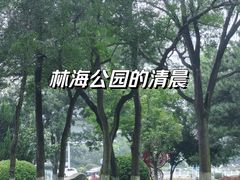 -林海公园