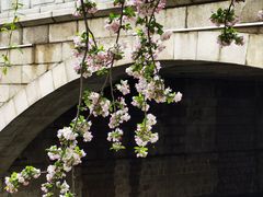 -海棠花溪(元大都城垣遗址公园)