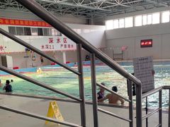 -定安游泳馆